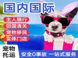周水子机场快运国际宠物托运 【国